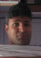 #241769 Tigerdio 41/183/91 Toronto